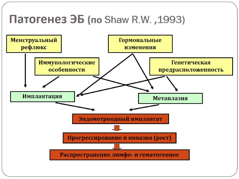 14 Патогенез ЭБ (по Shaw R.W. ,1993) Менструальный рефлюкс Иммунологические особенности Гормональные изменения Генетическая